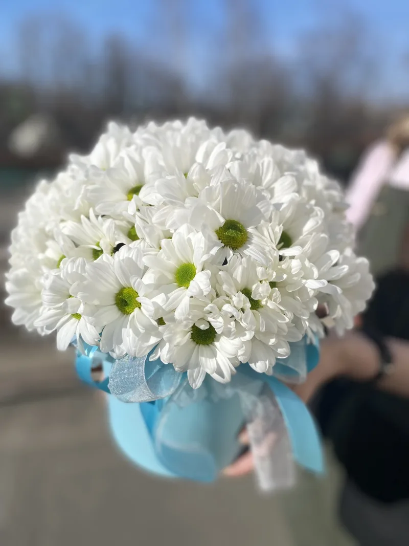 Грёзы — купить с доставкой в Мурино