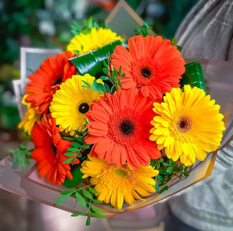 Солнечный — купить с доставкой в Мурино